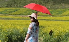 麻豆啊传媒app黄版破解免费